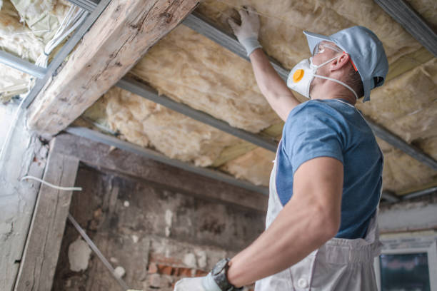 Best Specialty Insulation in Anamosa, IA