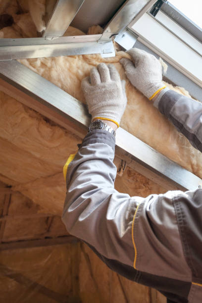Best Commercial Insulation in Anamosa, IA