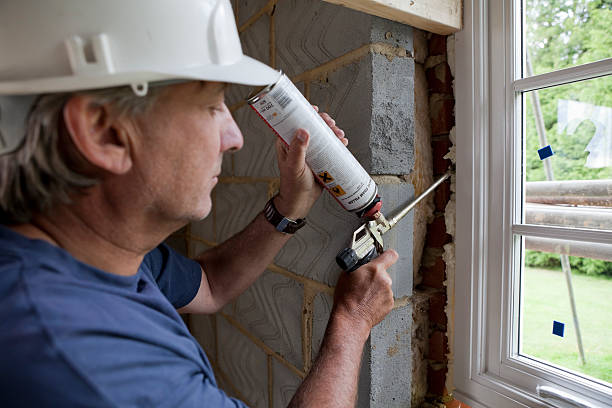 Best Insulation Maintenance and Repair in Anamosa, IA