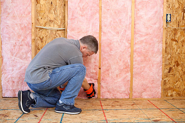 Best Insulation Maintenance and Repair in Anamosa, IA